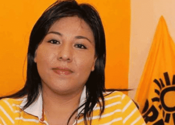 Gabriel Mendicutti no es apto para ese encargo: la diputada local Alejandra Cárdenas