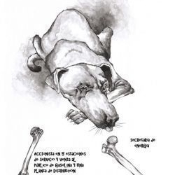 Conflicto de intereses