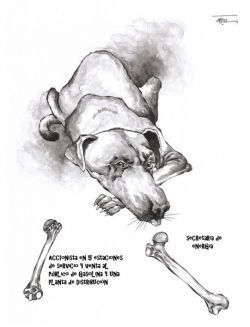 Conflicto de intereses