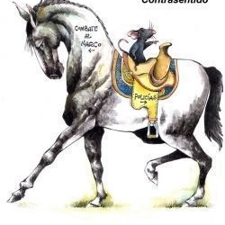 Contrasentido