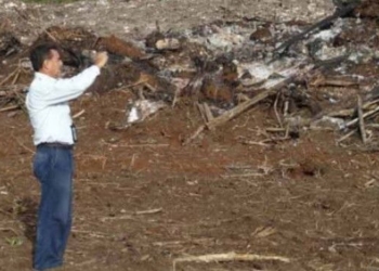 Detecta la Profepa 6 hectáreas de bosque deforestados en Kancabchen