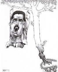 Fruto de venezuela