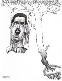 Fruto de venezuela