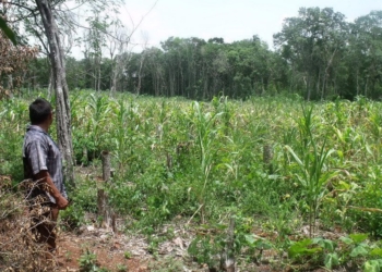 Falta de oportunidades laborales ocasionan que hombres del campo abandonen sus comunidades