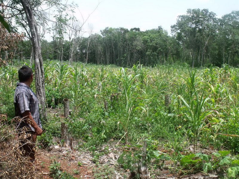 Falta de oportunidades laborales ocasionan que hombres del campo abandonen sus comunidades