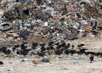Incumple empresa quien tenía la concesión del tratamiento de la basura en OPB