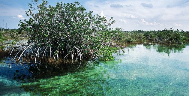 Autoridades municipales preparan ecocidío en la Laguna de los “Siete Colores” de Bacalar.