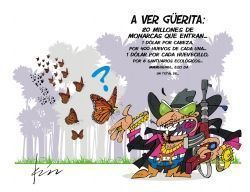 Mientras tanto en michoacan
