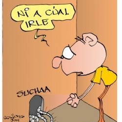 Nuevo dirigente