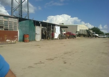Un parásito intocable enquistado en el municipio capitalino
