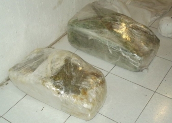 Policía Estatal En Coordinación Con El Ejército Logran Asegurar Al Menos 30 Kg De Marihuana