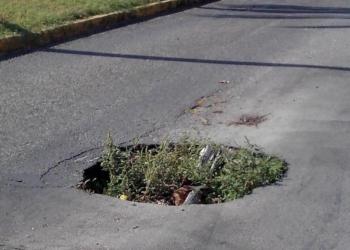 Nace un nuevo concepto de Jardinería Vial en Chetumal