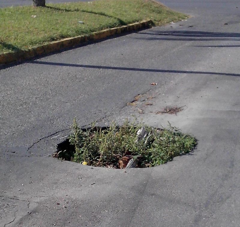 Nace un nuevo concepto de Jardinería Vial en Chetumal