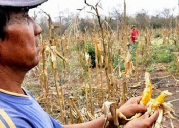 ¿Que pasa en el campo?