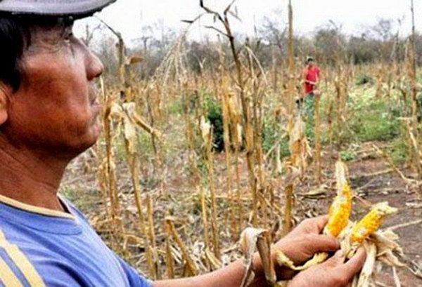 ¿Que pasa en el campo?