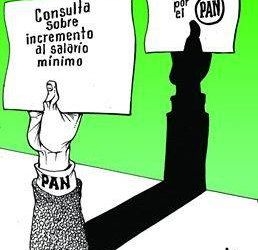 LUY: Electorera