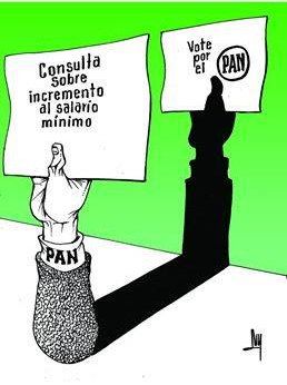 LUY: Electorera