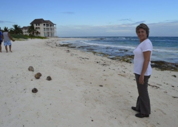 Playa Del Carmen Requiere Un Malecón: Laura Beristain
