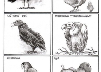 OMAR: Aviario