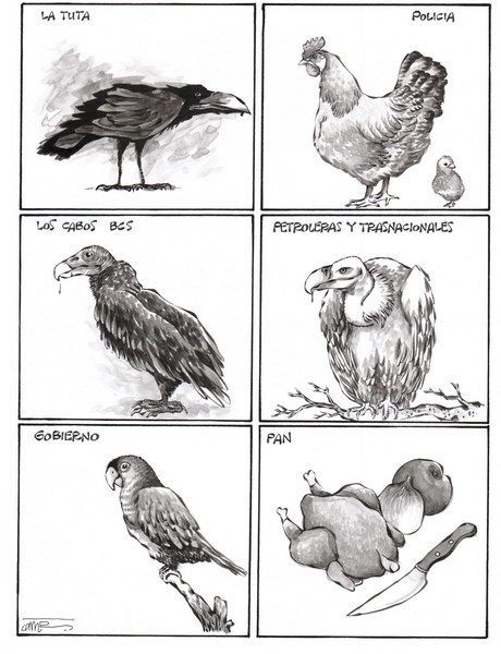 OMAR: Aviario