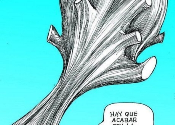 LUY: Operación mazo