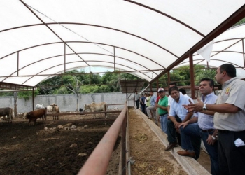 Mauricio Góngora refrenda el apoyo a productores locales