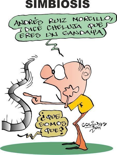 COLINAS: Simbiosis