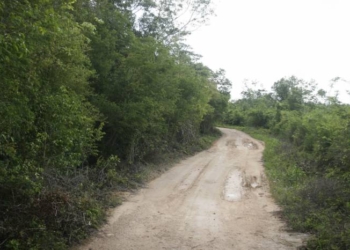Urge reparación de caminos saca cosechas en Cuchumatán