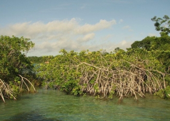 Reverdece Bacalar; Convertido en un Paraíso Verde