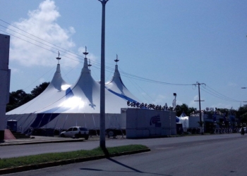 En extinción los tradicionales circos