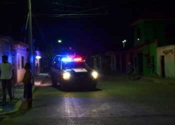 Ratas de dos patas hacen de las suyas en cuartería de Chetumal
