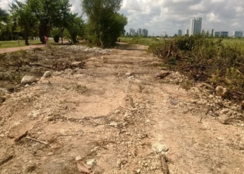 Denuncia Tala de manglar en el km 2 de la Zona Hotelera‏