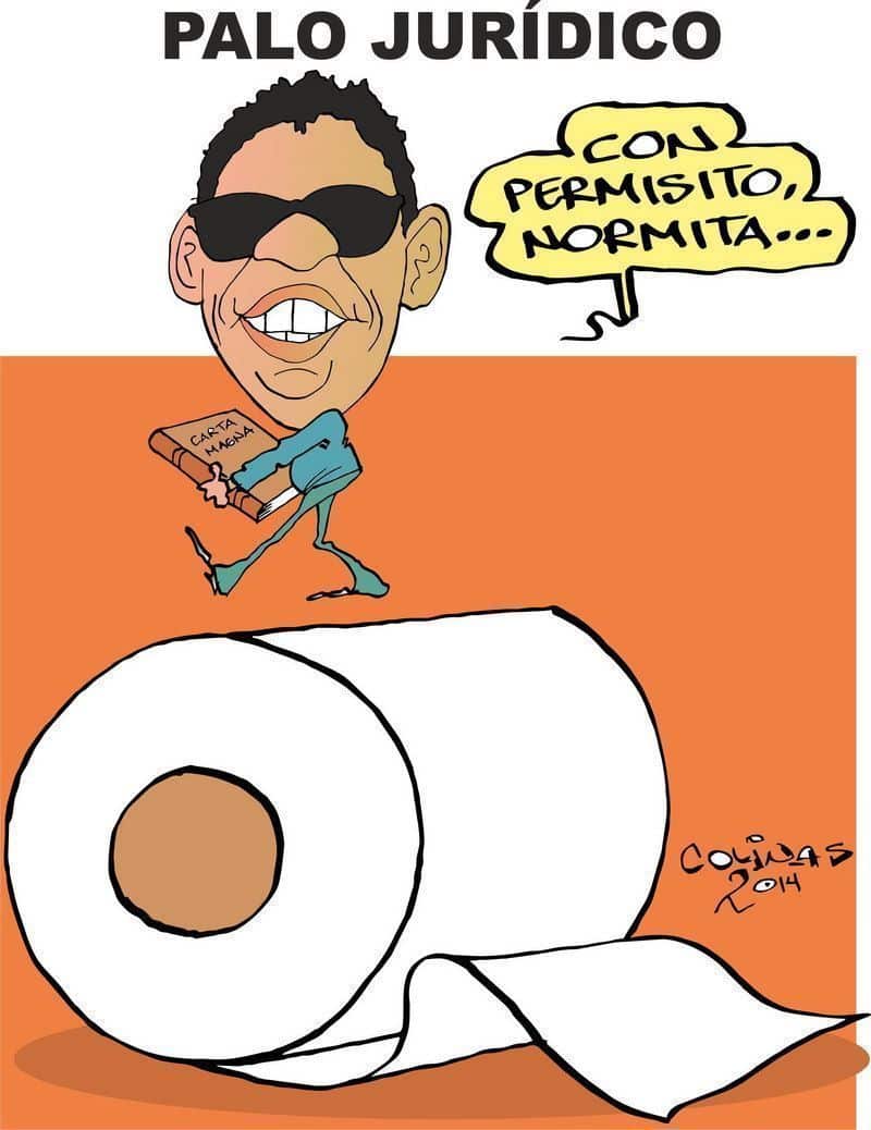 Palo Juridico