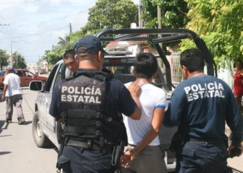 “Rata” intenta hacer de las suyas en plena vía pública