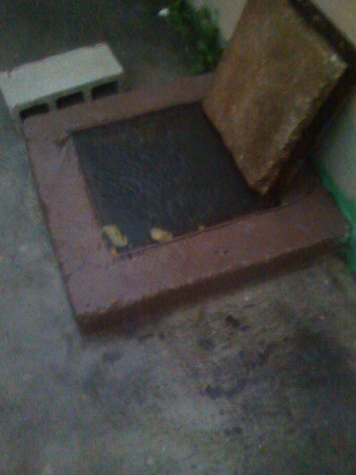 Aguas negras inundan vivienda en la colonia Almendros