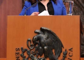 Rosa Adriana Díaz solicita mayores recursos para la seguridad en el Estado