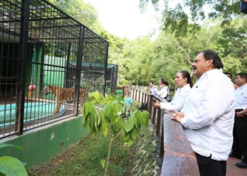 Zoológico Payo Obispo recibirá especies aseguradas por la PROFEPA