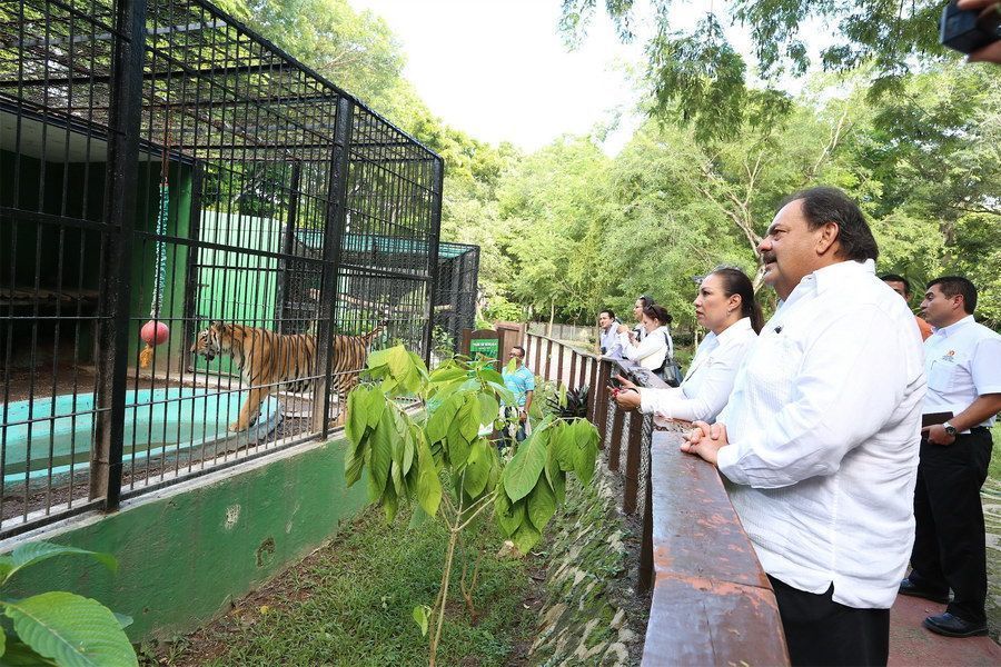 Zoológico Payo Obispo recibirá especies aseguradas por la PROFEPA