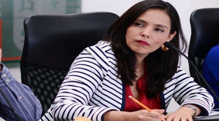 Tumban a Berenice Polanco de la carrera por la curul federal