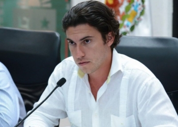 El PV se mantendrá al margen del caso del perro electrocutado por la directora de Ecología en Isla Mujeres