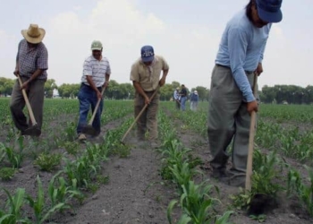 Campesinos de tres municipios les llueve sobre mojado