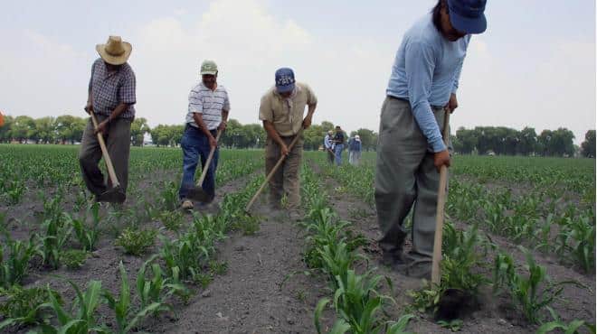 Campesinos de tres municipios les llueve sobre mojado