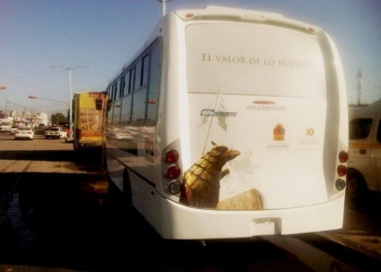 Parqueada en el Congreso del Estado ampliación de concesión para transporte público capitalino