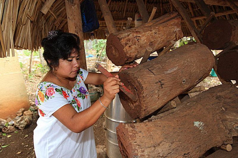 Imparten taller de meliponicultura en Bacalar