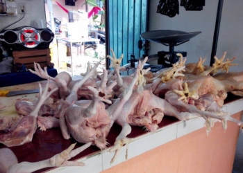 Malas noticias para “Doña Lupe”; sube precio del kilo de pollo