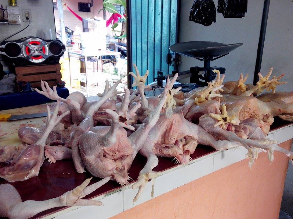 Malas noticias para “Doña Lupe”; sube precio del kilo de pollo
