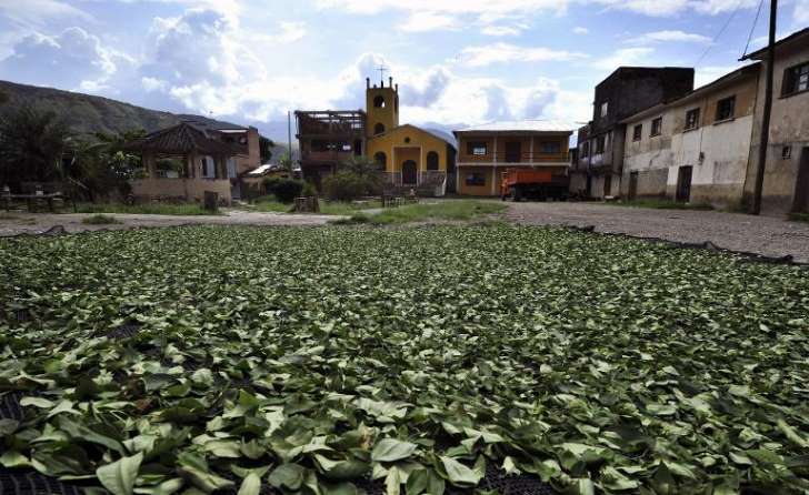 Un rey negro descendiente de africanos vive como campesino en Bolivia