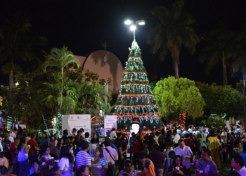 Encienden árbol de navidad en plazoleta principal de Felipe Carrillo Puerto