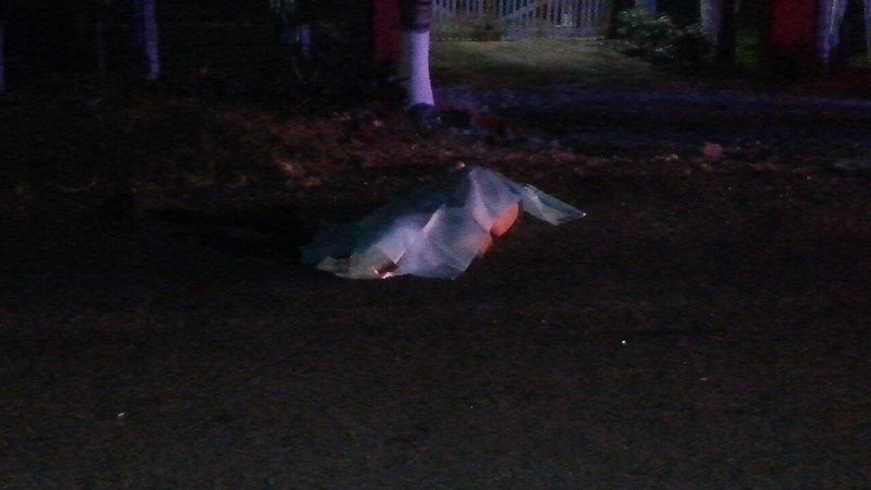 En calidad de desconocido sigue hombre arrollado en carretera Chetumal-Bacalar