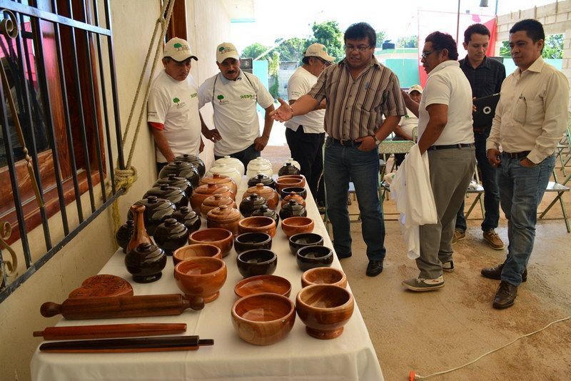 Artesano implora apoyo del gobierno para desarrollar su actividad
